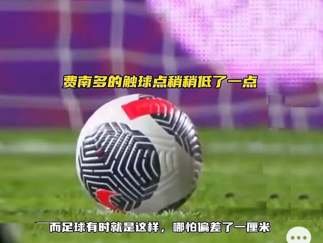 指导