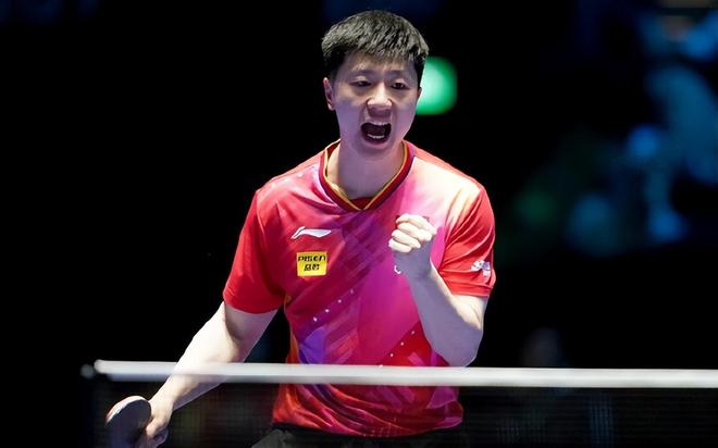 在新战术的 在新战术的