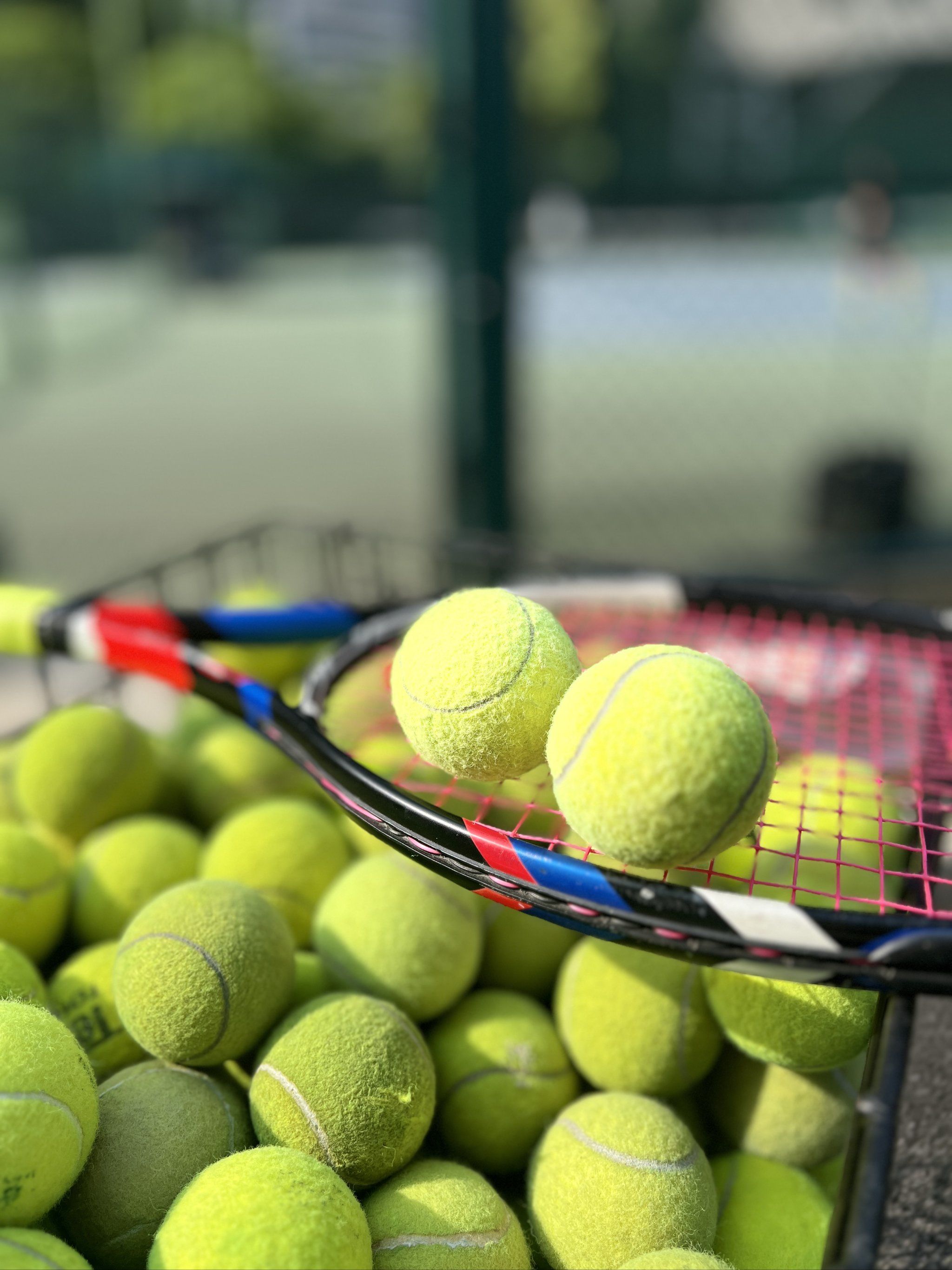 导演透露 导演透露