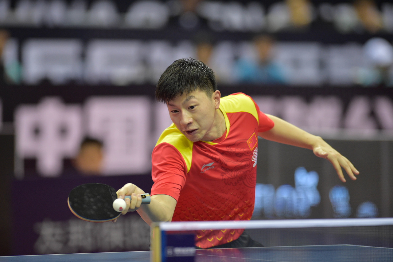 创作者生态 创作者生态